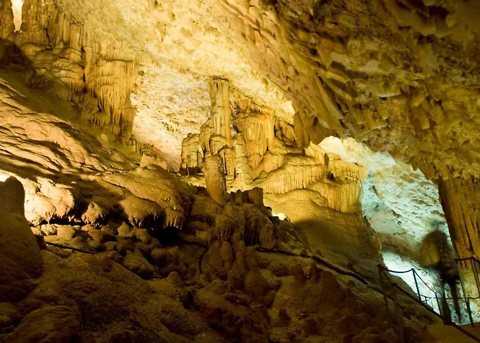 Mareda Palms Apartment Novigrad Istria