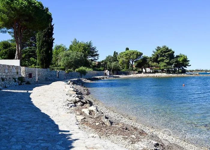 Apartment Mareda Palms *