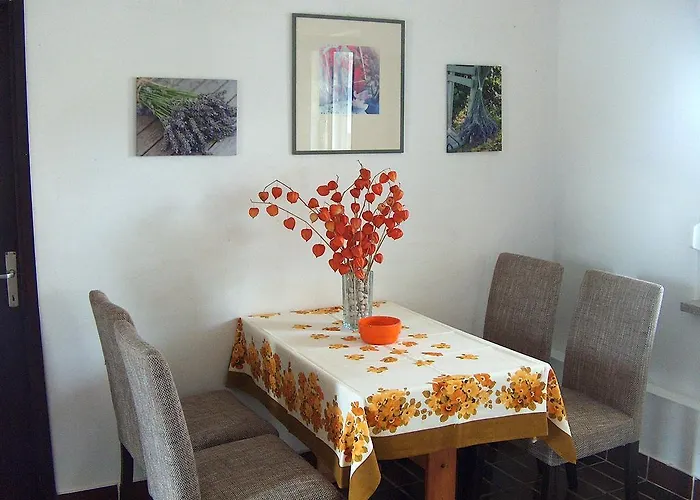 Apartment Mareda Palms Novigrad Istria