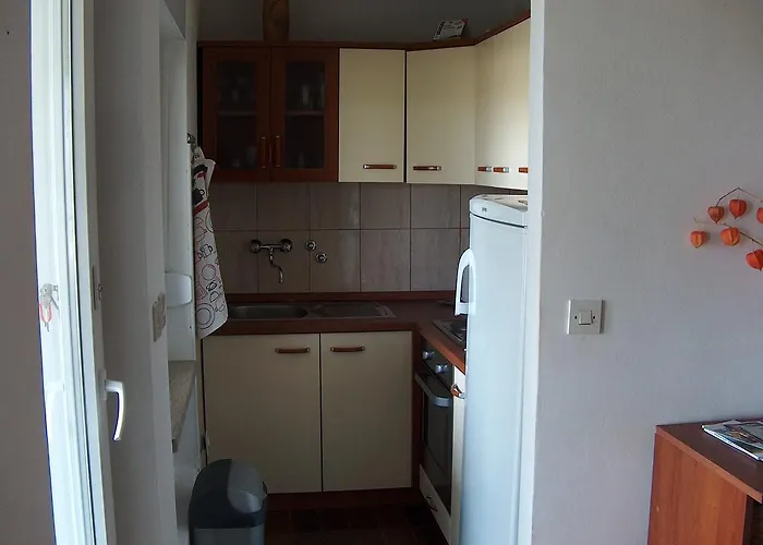 Mareda Palms Apartment Novigrad Istria