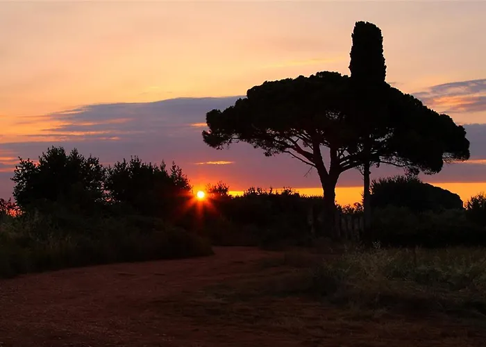 Mareda Palms Apartment *