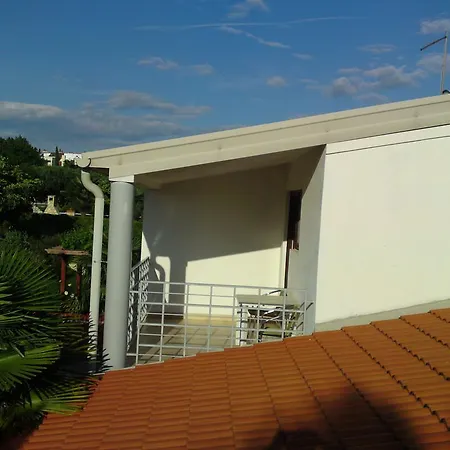Mareda Palms