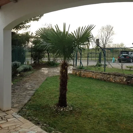 Mareda Palms Apartment *