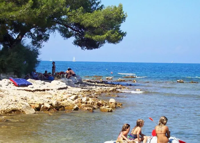 Mareda Palms * Novigrad (Istria)