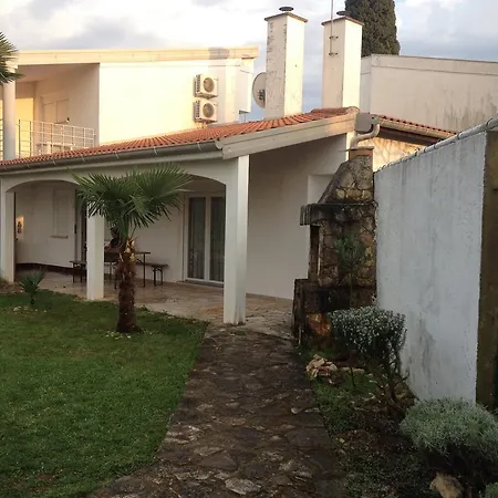 Mareda Palms