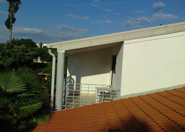 Mareda Palms